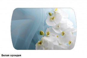 Стол Бостон 900*600 (опоры Брифинг) Стекло/фотопечать Белая Орхидея в Ягодном - yagodnyj.germes-mebel.ru | фото